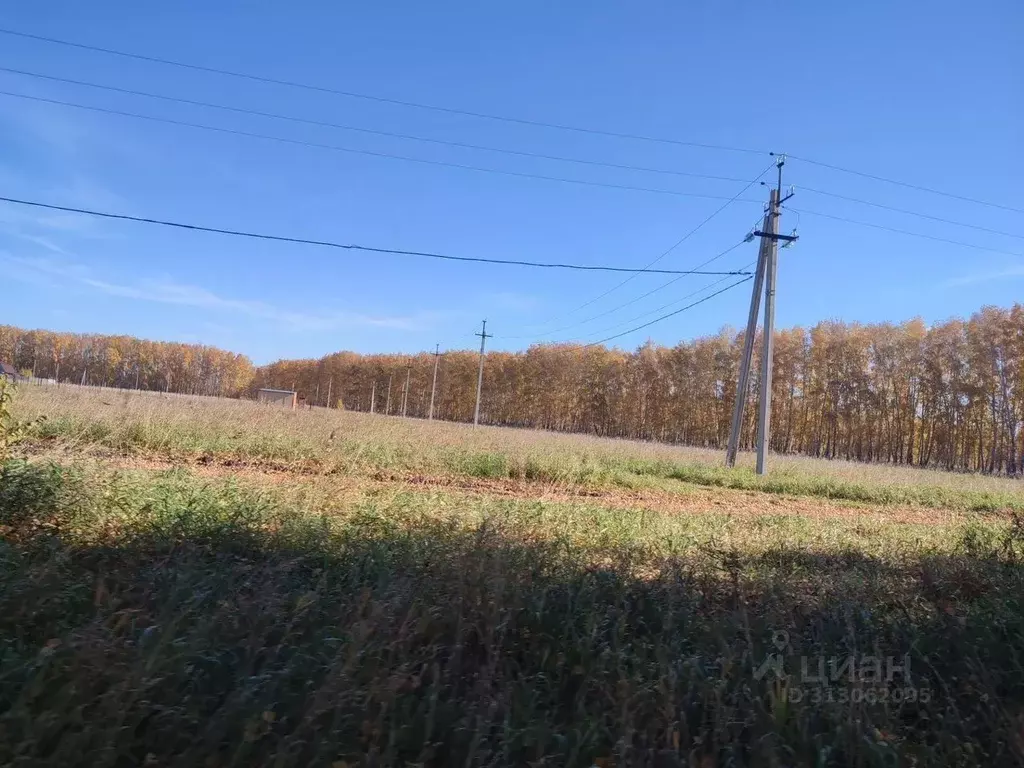 Участок в Омская область, Омский район, с. Усть-Заостровка ул. 20-я ... - Фото 1