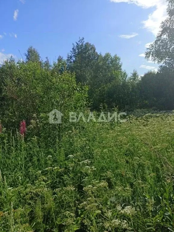 Участок в Ленинградская область, Выборгский район, Каменногорское ... - Фото 1