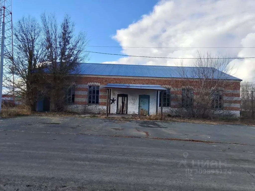 Помещение свободного назначения в Самарская область, Алексеевский ... - Фото 1