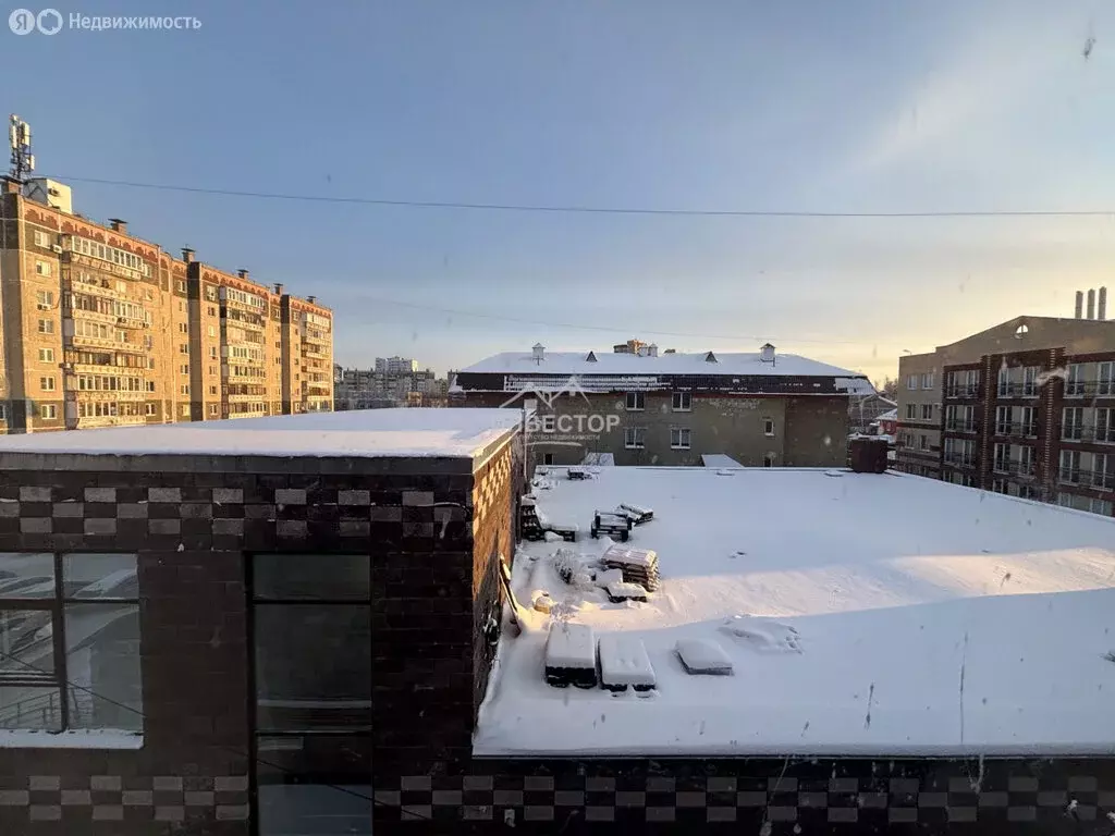 Помещение свободного назначения (21.7 м) - Фото 1