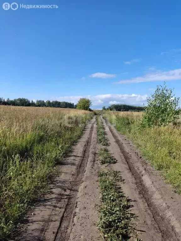 Участок в Мокшанский район, Рамзайский сельсовет, село Рамзай (10.4 м) - Фото 0
