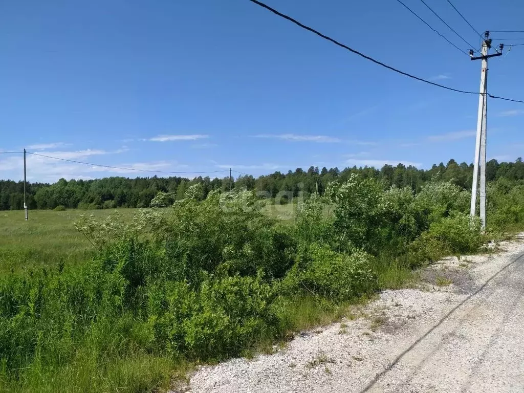 Участок в Свердловская область, Полевской городской округ, с. ... - Фото 1