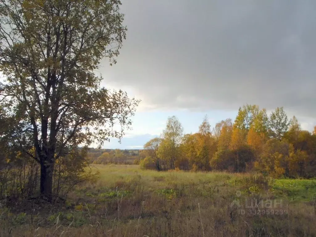 Участок в Ленинградская область, Выборгский район, Красносельское ... - Фото 2