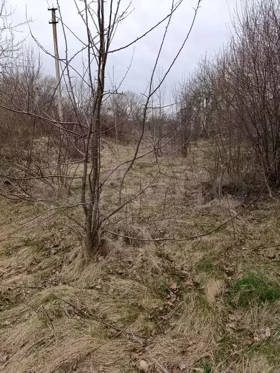 Участок 9,2 сот. (ИЖС) - Фото 1