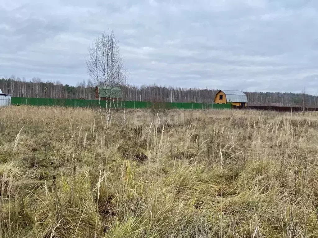 Участок в Смоленская область, Краснинский муниципальный округ, ... - Фото 1