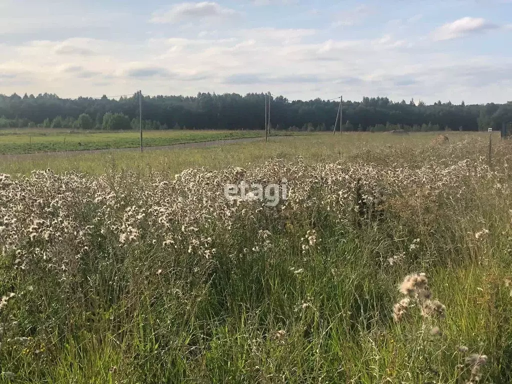 Участок в Ленинградская область, Ломоносовский район, Гостилицкое ... - Фото 1