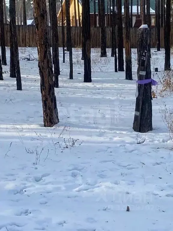 Участок в Бурятия, Улан-Удэ пос. Светлый,  (10.0 сот.) - Фото 1