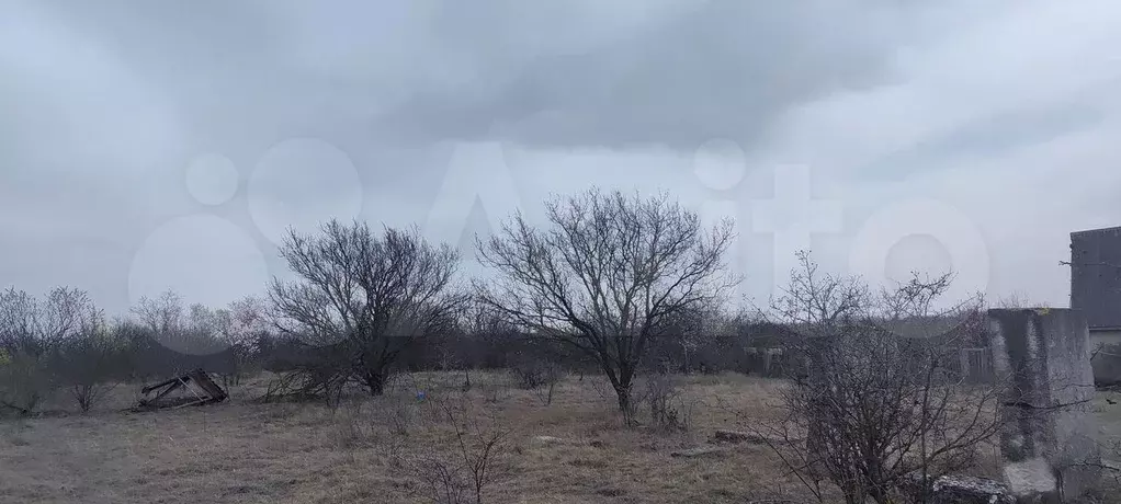 Участок 10 сот. (СНТ, ДНП) - Фото 1