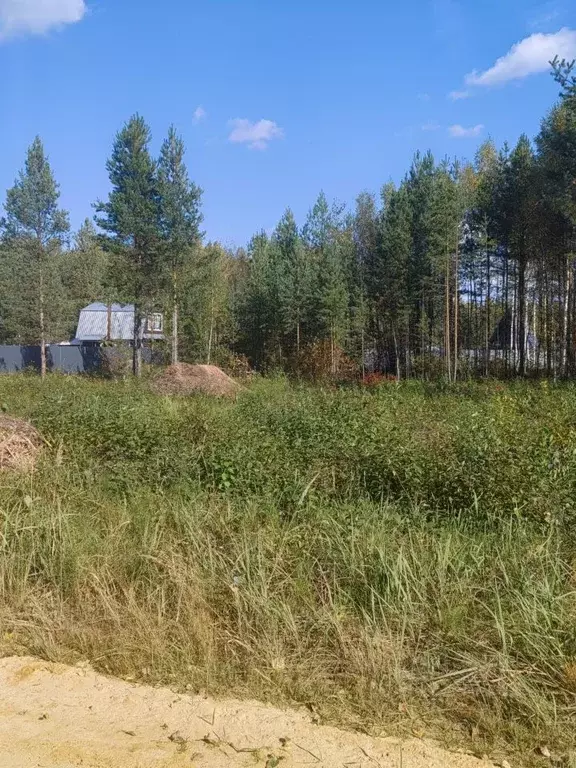 Участок в Марий Эл, Медведевский район, Кундышское с/пос, Строитель ... - Фото 1