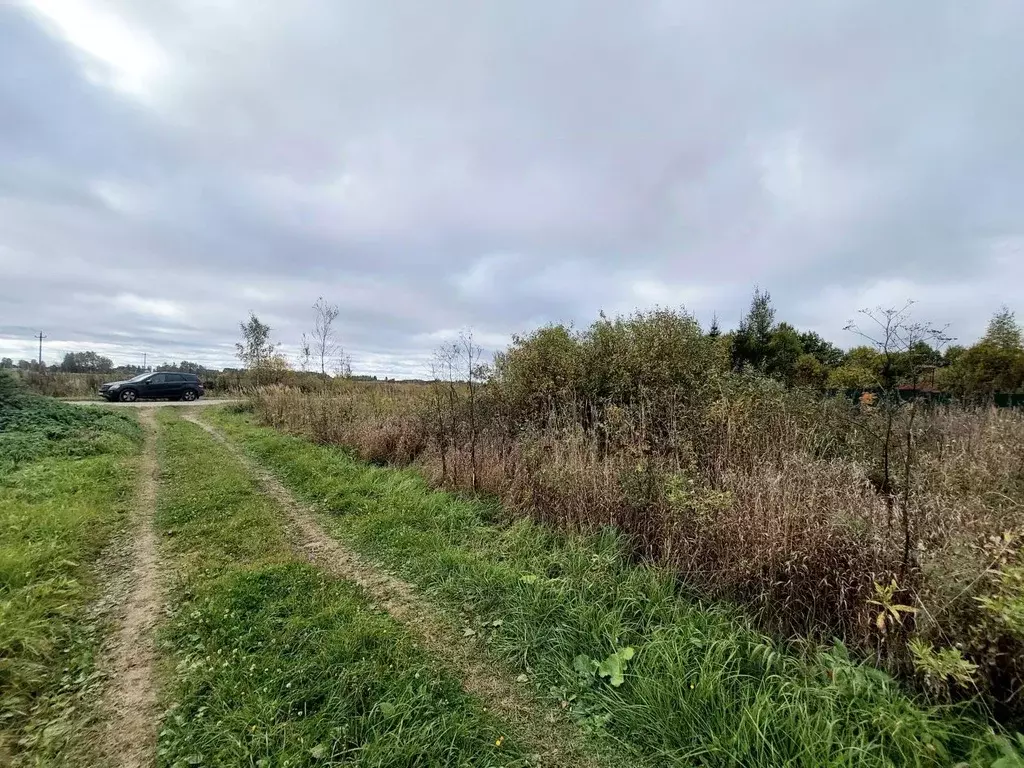Участок в Ярославская область, Ярославский муниципальный округ, д. ... - Фото 1