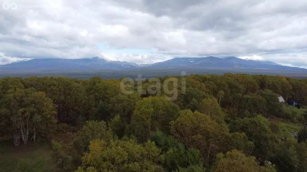 Участок в Камчатский край, Елизовский муниципальный округ, СНТ Солодок ... - Фото 2