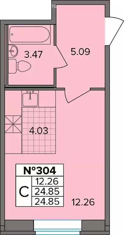 Квартира-студия: деревня Новое Девяткино, Лесная улица, 19 (24.85 м) - Фото 1