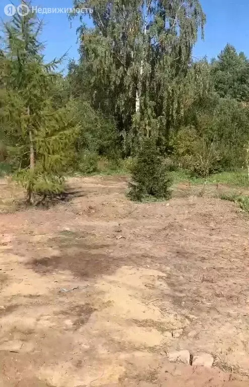 Участок в Виллозское городское поселение, садоводческое некоммерческое ... - Фото 2