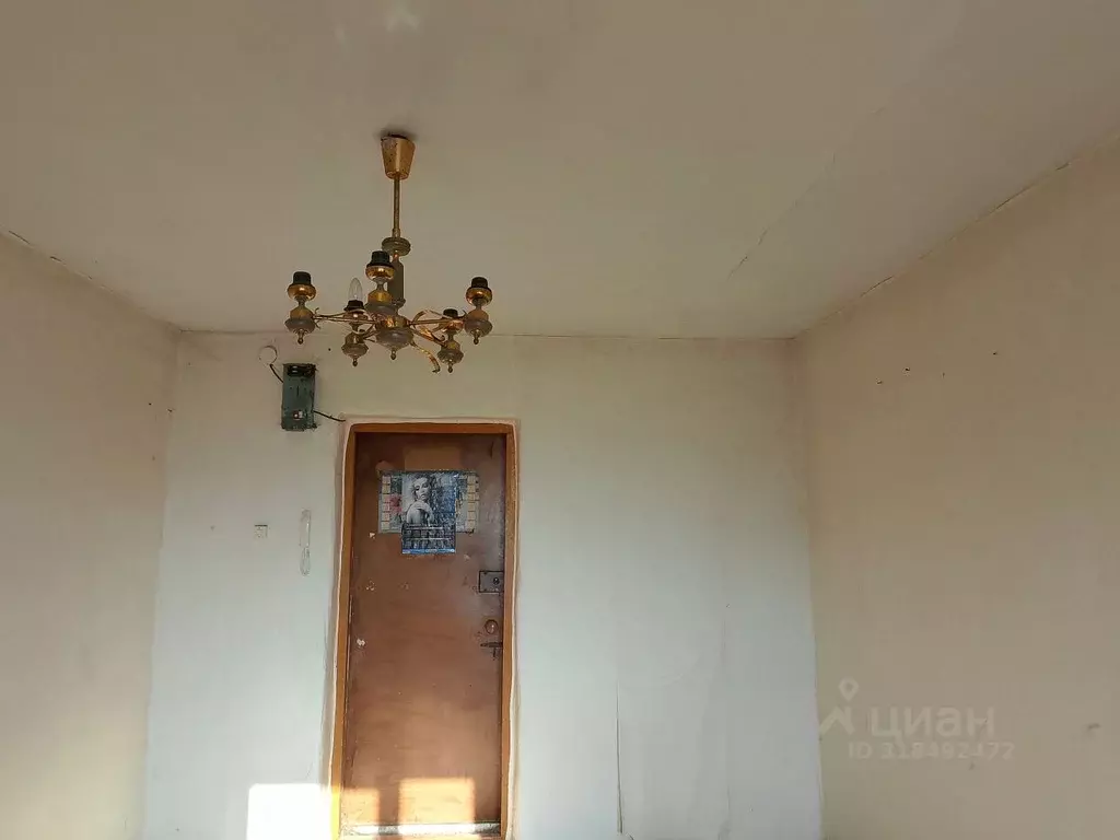 Комната Алтайский край, Рубцовск ул. Пушкина, 2 (15.0 м) - Фото 1
