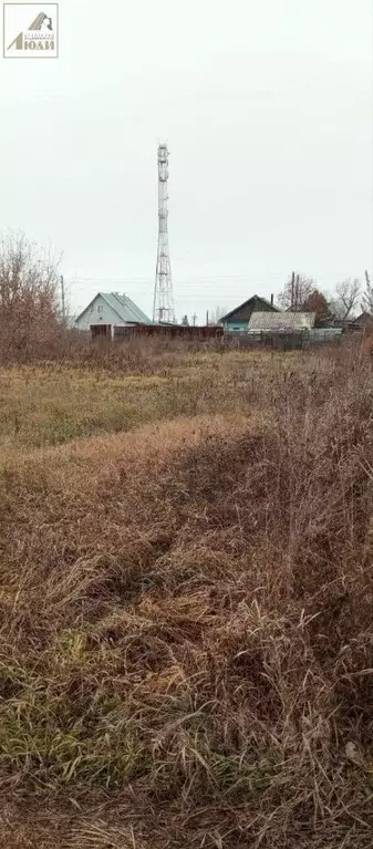 Участок в Новосибирская область, Искитимский район, Совхозный ... - Фото 0