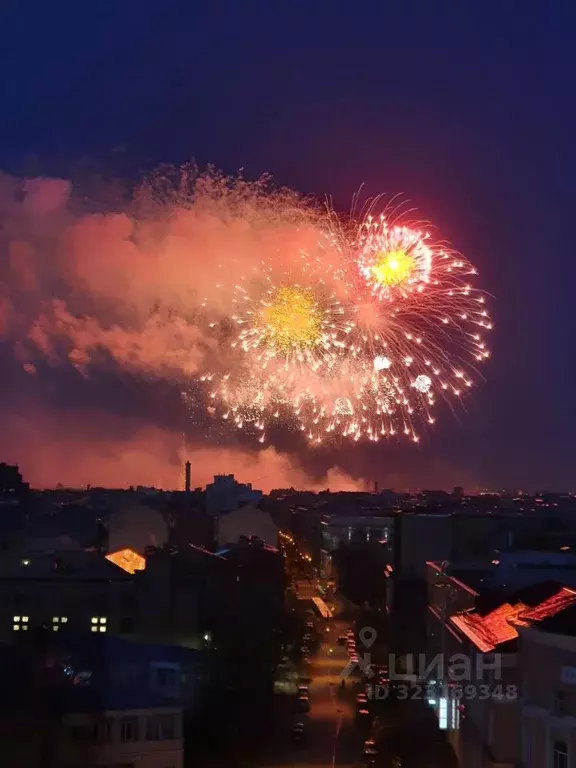 1-к кв. Санкт-Петербург ул. Малая Зеленина, 1/22 (51.3 м) - Фото 2