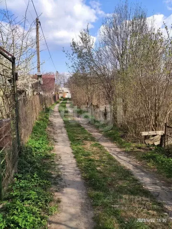 Участок в Калининградская область, Калининград Подводник СНТ, проезд ... - Фото 1