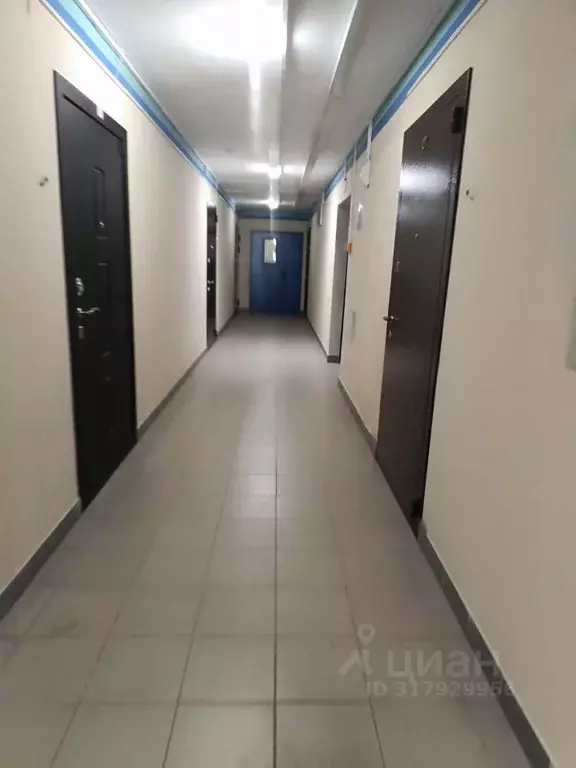Студия Ленинградская область, Мурино Всеволожский район, бул. ... - Фото 1