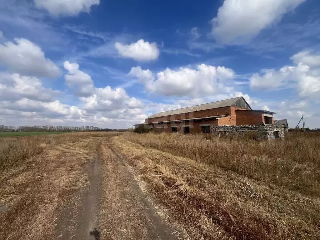 Склад в Саратовская область, Балашовский район, с. Терновка  (400 м) - Фото 2