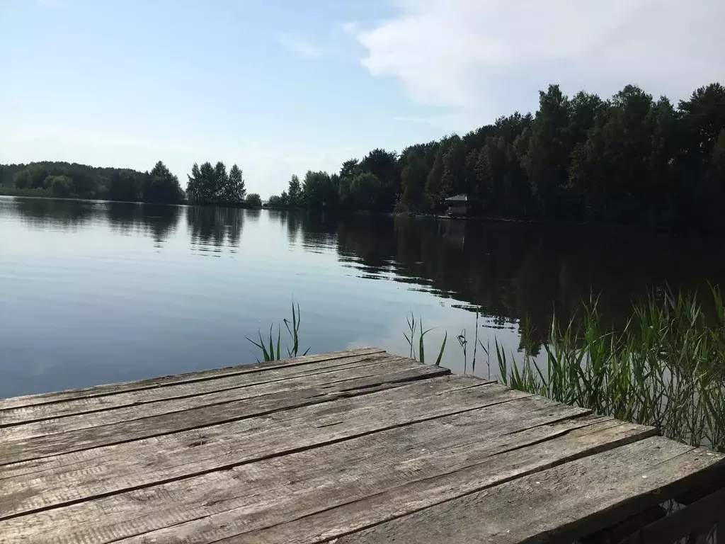 Дом в Нижегородская область, Сокольский городской округ, д. Вязовики ... - Фото 2