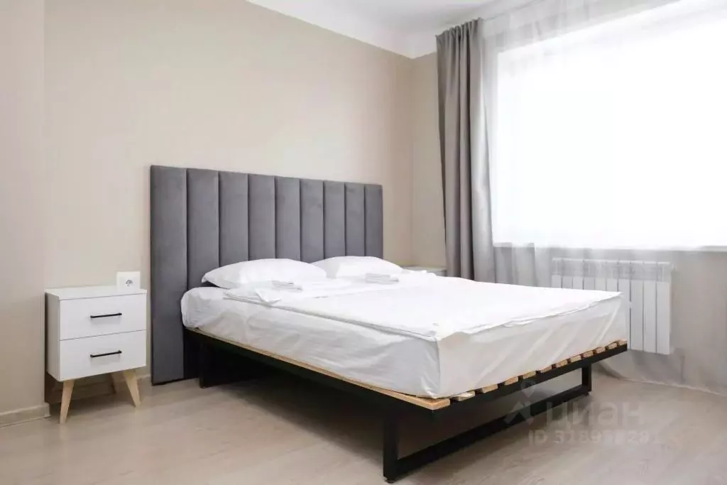 1-к кв. Новосибирская область, Новосибирск ул. Фрунзе, 49/2 (40.0 м) - Фото 1