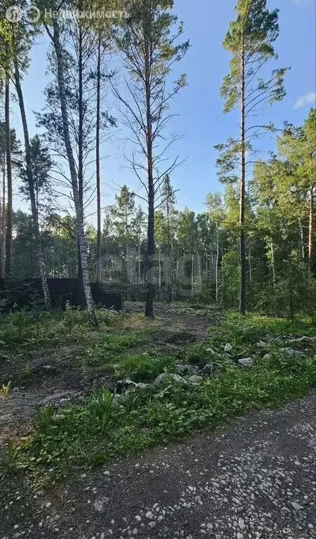 Участок в деревня Кузнецово, Серебристая улица (22.5 м) - Фото 2