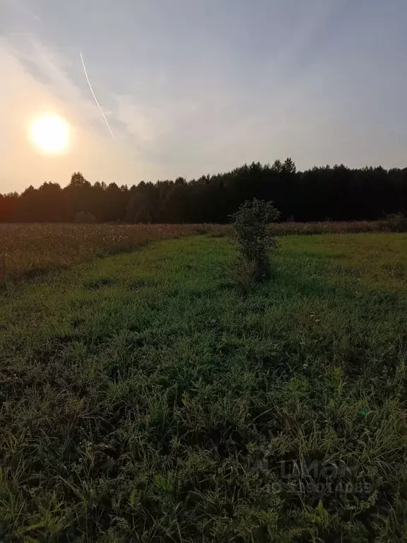 Участок в Пермский край, Нытвенский муниципальный округ, Егорово тер.  ... - Фото 1