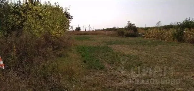 Участок в Белгородская область, Корочанский район, с. Мелихово  (7.5 ... - Фото 1