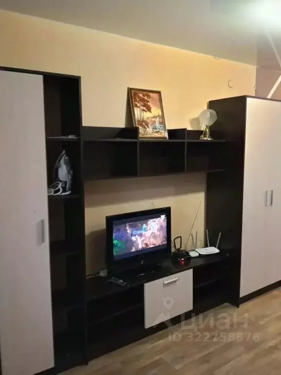 1-к кв. Иркутская область, Иркутск ул. Розы Люксембург, 118 (30.0 м) - Фото 1