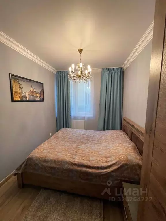 Студия Санкт-Петербург Московский просп., 183-185Ак6 (33.0 м) - Фото 2