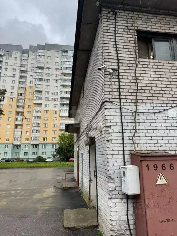Торговая площадь в Санкт-Петербург Народная ул., 47 (52 м) - Фото 1
