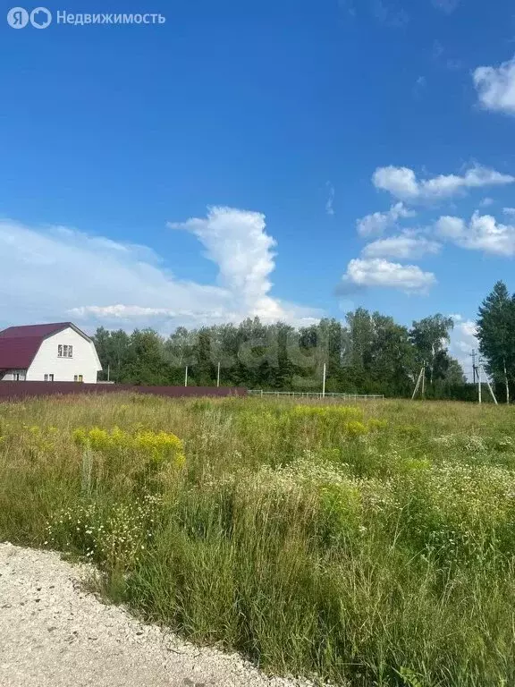 Участок в Тульская область, городской округ Тула, село Зайцево (20 м) - Фото 1