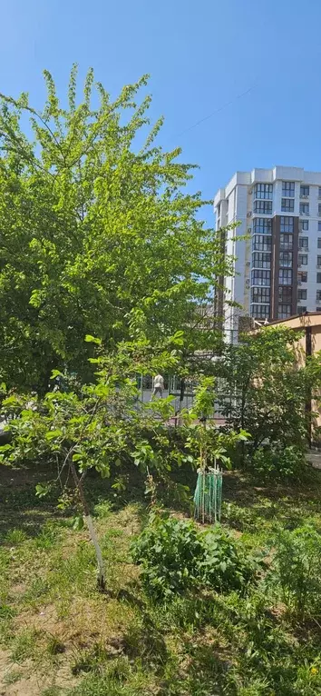 Продаётся 1-к квартира, 44.8 м - Фото 1