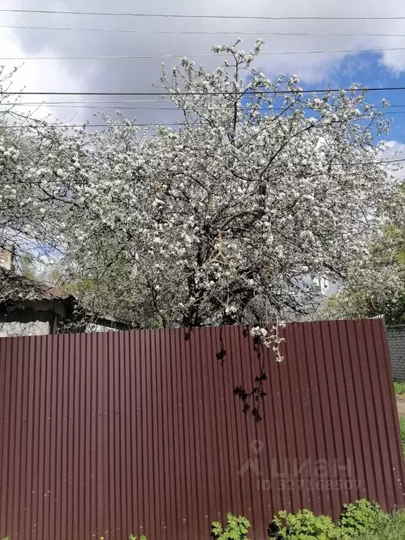 2-к кв. Тверская область, Ржев ул. Пархоменко, 6 (50.0 м) - Фото 2