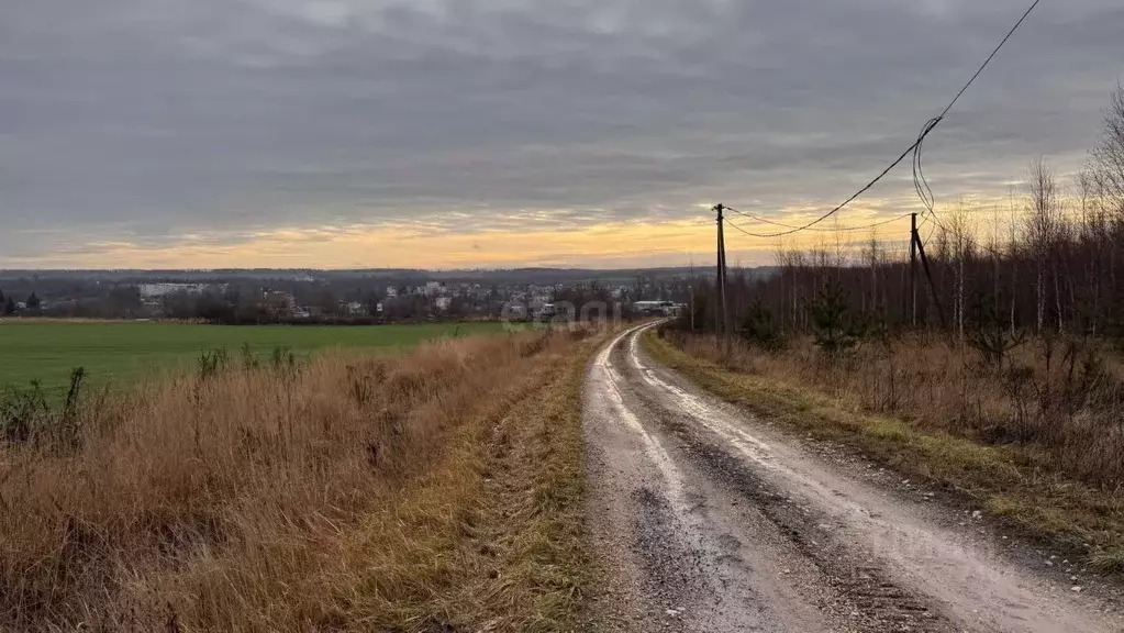 Участок в Нижегородская область, Нижний Новгород с. Запрудное, ул. ... - Фото 2