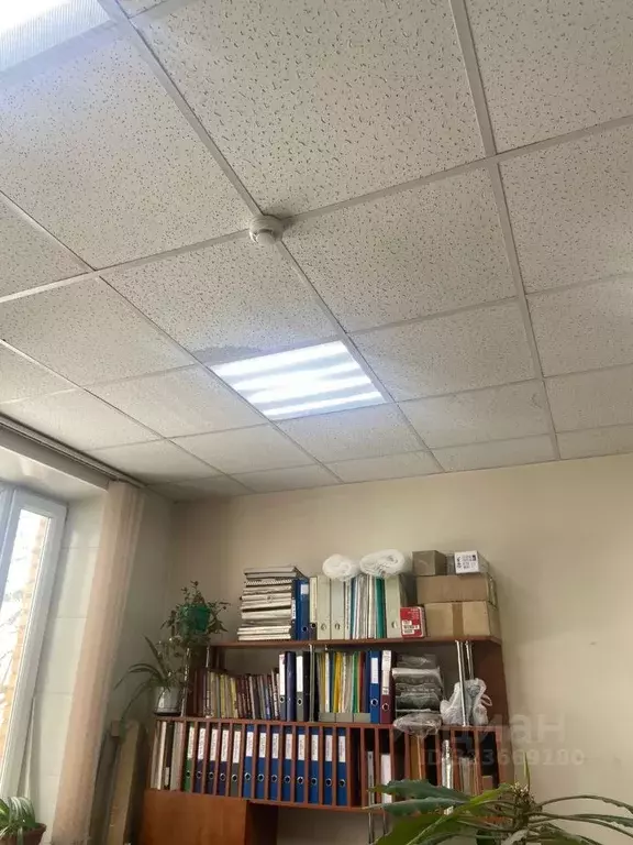 Помещение свободного назначения в Карелия, Кемь ул. Бланки, 12 (35 м) - Фото 2