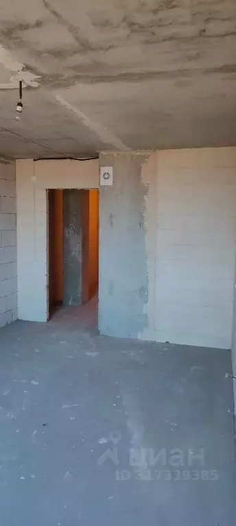 Студия Ленинградская область, Мурино Всеволожский район, ул. Шоссе в ... - Фото 1