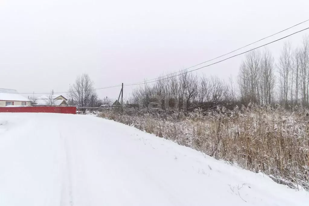 Участок в Тюменская область, Тюменский муниципальный округ, с. ... - Фото 1