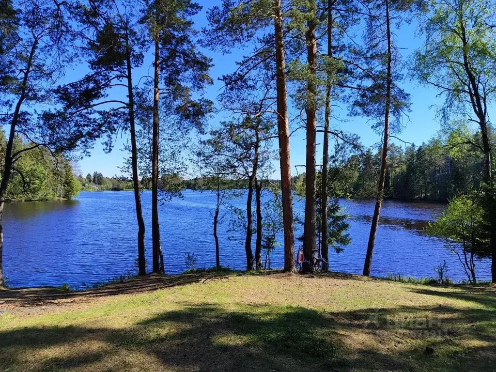 Коттедж в Ленинградская область, Выборгский район, Рощинское городское ... - Фото 1