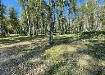 Участок в Алтай, Майминский район, с. Манжерок  (10.0 сот.) - Фото 0