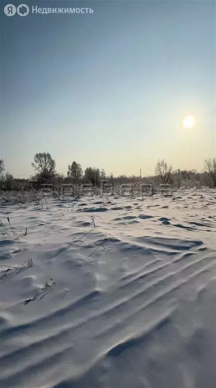 Участок в Берёзовский район, Есаульский сельсовет, ДНТ ... - Фото 1