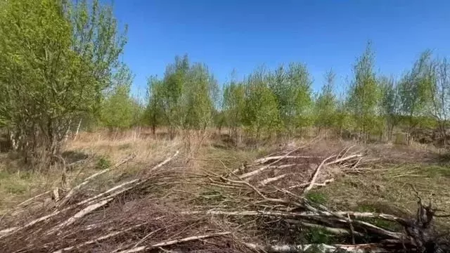 Участок 10,2 сот. (СНТ, ДНП) - Фото 0