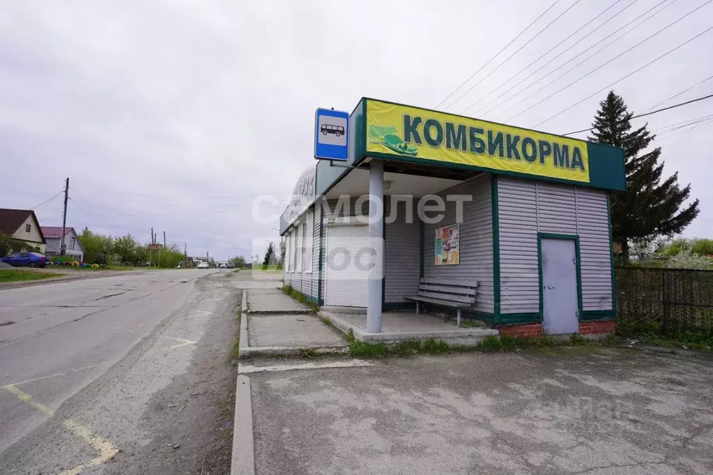 Торговая площадь в Челябинская область, Кыштым ул. Мамина-Сибиряка, 53 ... - Фото 1