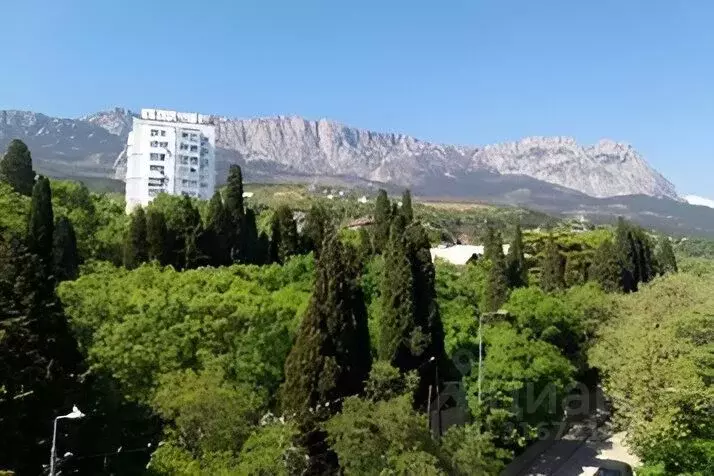 1-к кв. Крым, Алупка Ялта городской округ, ул. Западная, 18 (31.0 м) - Фото 0