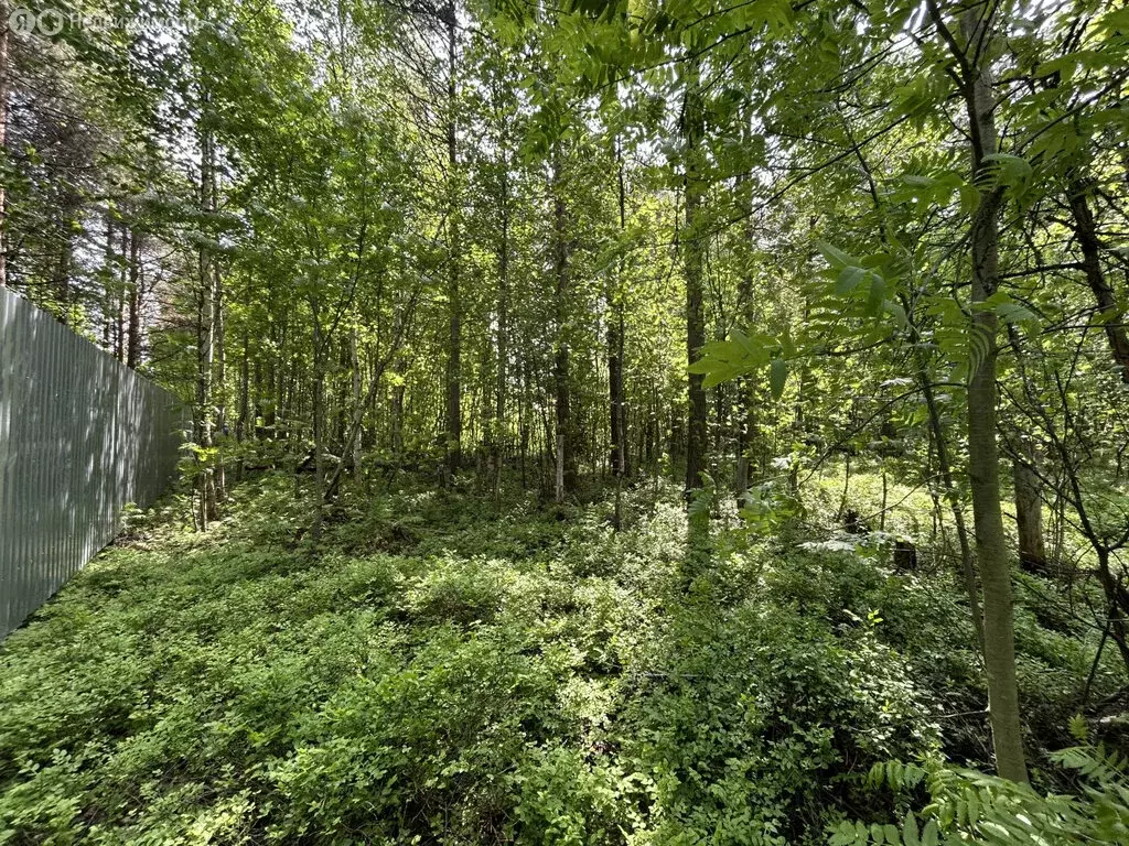 Участок в Архангельск, микрорайон Экономия, улица Шмидта (10 м) - Фото 2