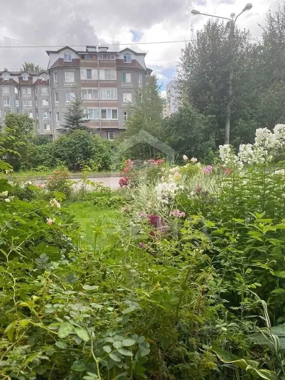 3-к кв. Ленинградская область, Сертолово Всеволожский район, ул. ... - Фото 0