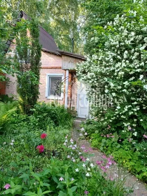 Дом в Омская область, Омск Полет-1 СНТ, аллея 7-я, 129 (30 м) - Фото 1