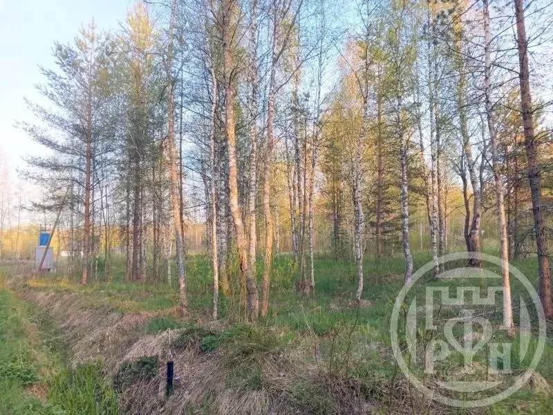 Участок в Ленинградская область, Выборгский район, Красносельское ... - Фото 0