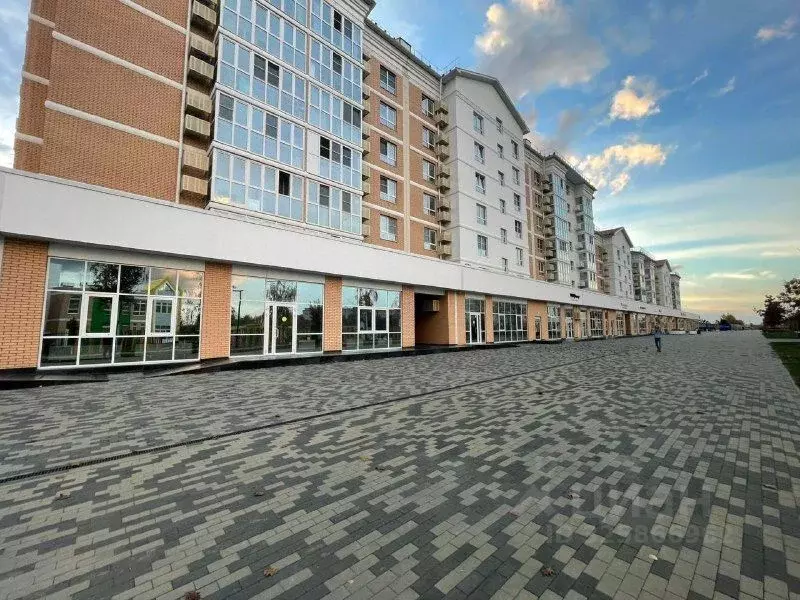 Помещение свободного назначения в Краснодарский край, Динская ст-ца ... - Фото 2