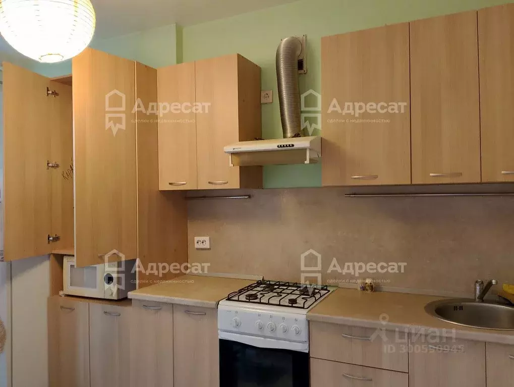 1-к кв. Волгоградская область, Волгоград ул. Грибанова, 16 (32.5 м) - Фото 1